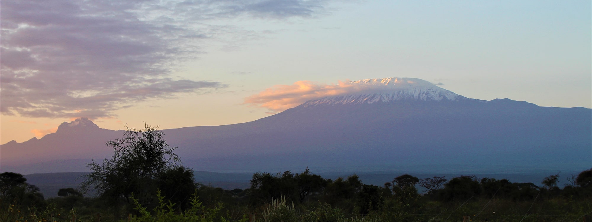 Image of Mount Kilimanjaro in the background with green foliage in front